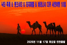 낙타 축제 & 핑크시티 & 타…