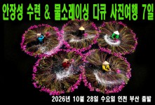 안장성 수련 & 물소레이싱 다…