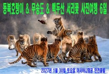 동북호랑이 & 무송도 & 백두…